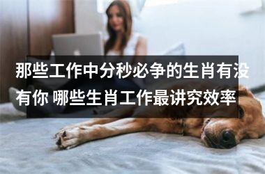<h3>那些工作中分秒必争的生肖有没有你 哪些生肖工作最讲究效率