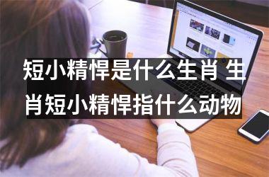 <h3>短小精悍是什么生肖 生肖短小精悍指什么动物