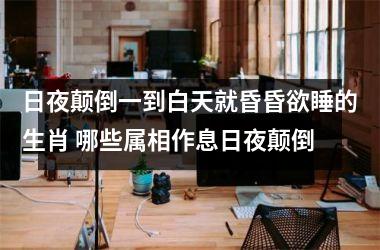 <h3>日夜颠倒一到白天就昏昏欲睡的生肖 哪些属相作息日夜颠倒