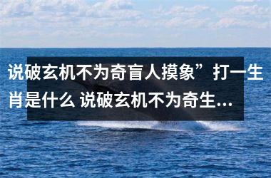 <h3>说破玄机不为奇盲人摸象”打一生肖是什么 说破玄机不为奇生肖答案