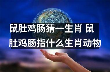 <h3>鼠肚鸡肠猜一生肖 鼠肚鸡肠指什么生肖动物