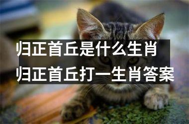 <h3>归正首丘是什么生肖 归正首丘打一生肖答案