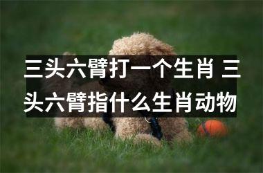 <h3>三头六臂打一个生肖 三头六臂指什么生肖动物