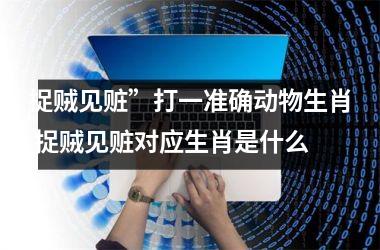 <h3>捉贼见赃”打一准确动物生肖 捉贼见赃对应生肖是什么