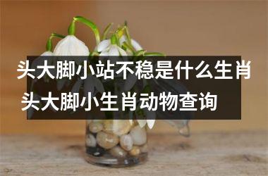 <h3>头大脚小站不稳是什么生肖 头大脚小生肖动物查询