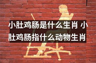 <h3>小肚鸡肠是什么生肖 小肚鸡肠指什么动物生肖