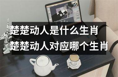 <h3>楚楚动人是什么生肖 楚楚动人对应哪个生肖