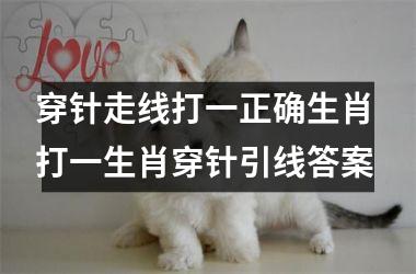 <h3>穿针走线打一正确生肖 打一生肖穿针引线答案