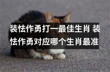 <h3>装怯作勇打一最佳生肖 装怯作勇对应哪个生肖最准