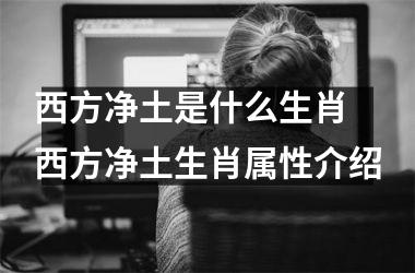 <h3>西方净土是什么生肖 西方净土生肖属性介绍