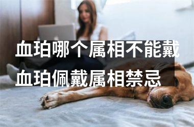 血珀哪个属相不能戴血珀佩戴属相禁忌