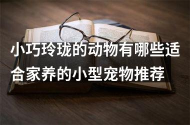 小巧玲珑的动物有哪些适合家养的小型宠物推荐