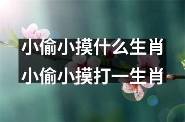小偷小摸什么生肖小偷小摸打一生肖