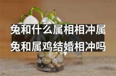 兔和什么属相相冲属兔和属鸡结婚相冲吗