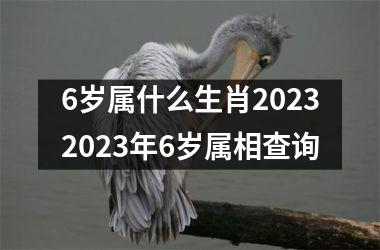 6岁属什么生肖20232023年6岁属相查询