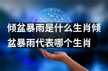 倾盆暴雨是什么生肖倾盆暴雨代表哪个生肖