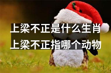 上梁不正是什么生肖上梁不正指哪个动物