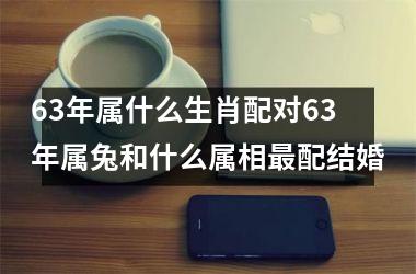 63年属什么生肖配对63年属兔和什么属相最配结婚