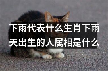 下雨代表什么生肖下雨天出生的人属相是什么