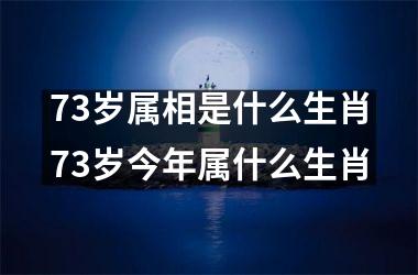 73岁属相是什么生肖73岁今年属什么生肖