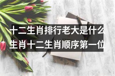 十二生肖排行老大是什么生肖十二生肖顺序第一位