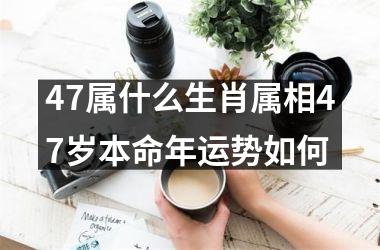 47属什么生肖属相47岁本命年运势如何