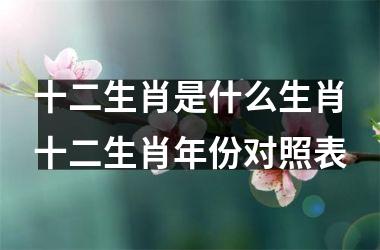 十二生肖是什么生肖十二生肖年份对照表