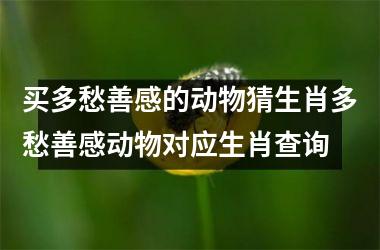 买多愁善感的动物猜生肖多愁善感动物对应生肖查询