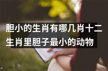 胆小的生肖有哪几肖十二生肖里胆子最小的动物