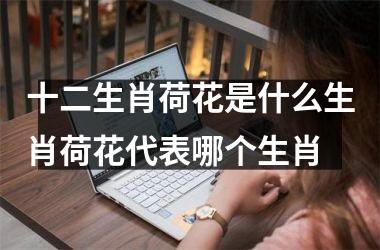 <h3>十二生肖荷花是什么生肖荷花代表哪个生肖