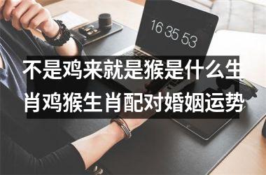 <h3>不是鸡来就是猴是什么生肖鸡猴生肖配对婚姻运势