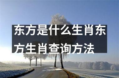 东方是什么生肖东方生肖查询方法