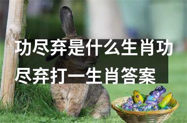 功尽弃是什么生肖功尽弃打一生肖答案