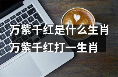 <h3>万紫千红是什么生肖万紫千红打一生肖