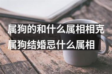 属狗的和什么属相相克属狗结婚忌什么属相