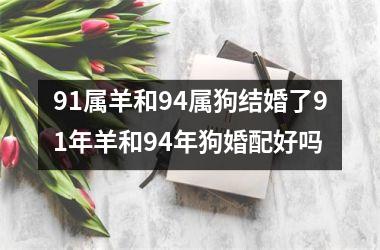 91属羊和94属狗结婚了91年羊和94年狗婚配好吗