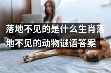 落地不见的是什么生肖落地不见的动物谜语答案