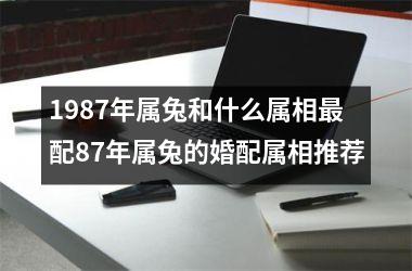 1987年属兔和什么属相最配87年属兔的婚配属相推荐