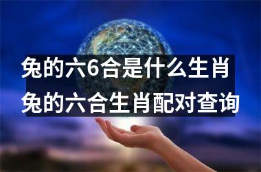 兔的六6合是什么生肖兔的六合生肖配对查询