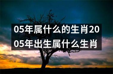 05年属什么的生肖2005年出生属什么生肖