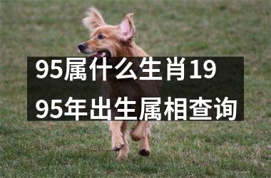 95属什么生肖1995年出生属相查询