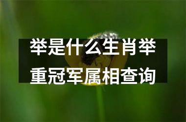 举是什么生肖举重冠军属相查询