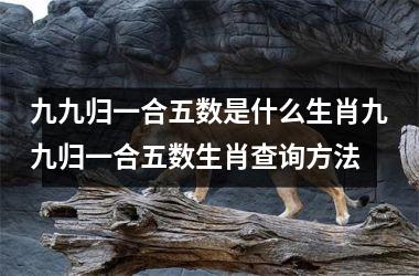 九九归一合五数是什么生肖九九归一合五数生肖查询方法