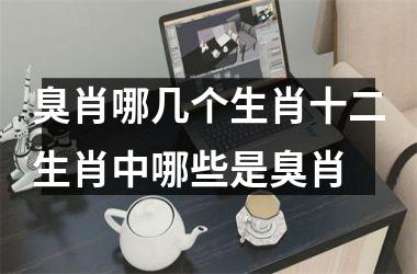 臭肖哪几个生肖十二生肖中哪些是臭肖