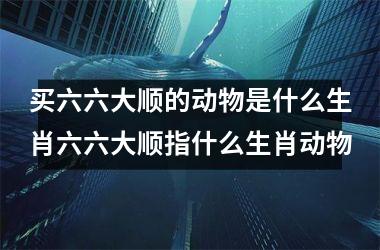 买六六大顺的动物是什么生肖六六大顺指什么生肖动物