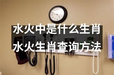 <h3>水火中是什么生肖水火生肖查询方法