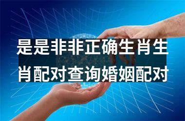 是是非非正确生肖生肖配对查询婚姻配对