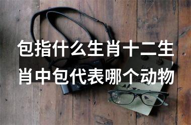 包指什么生肖十二生肖中包代表哪个动物