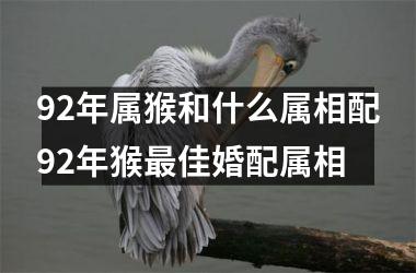 92年属猴和什么属相配92年猴最佳婚配属相