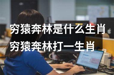 穷猿奔林是什么生肖穷猿奔林打一生肖